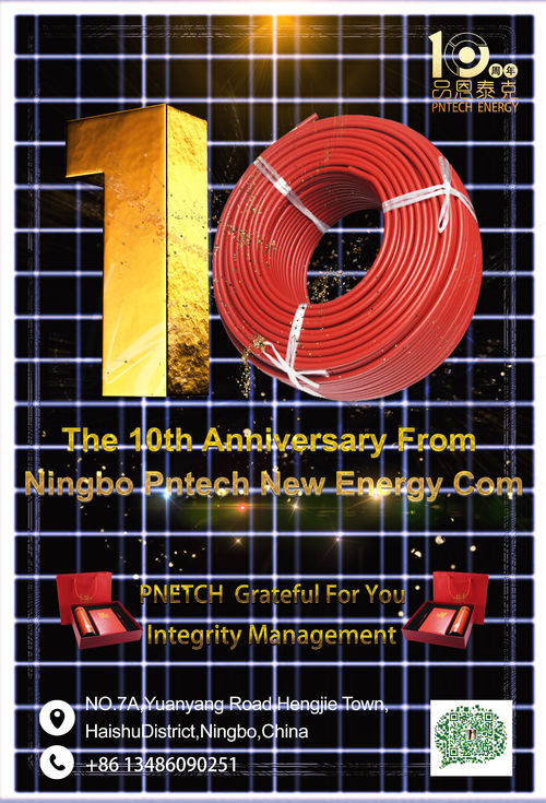 Latest company news about NIingbo PNtechの第10記念日