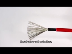 DCは黒く赤い太陽電池パネルPVケーブル4mm2の倍によって絶縁された質ワイヤーを評価した